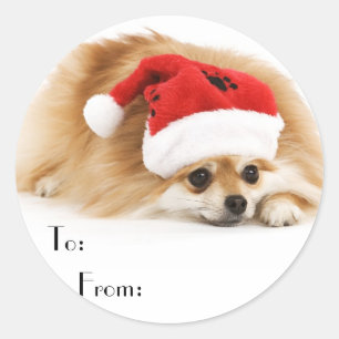 Cute Christmas Dog Gift Stickers