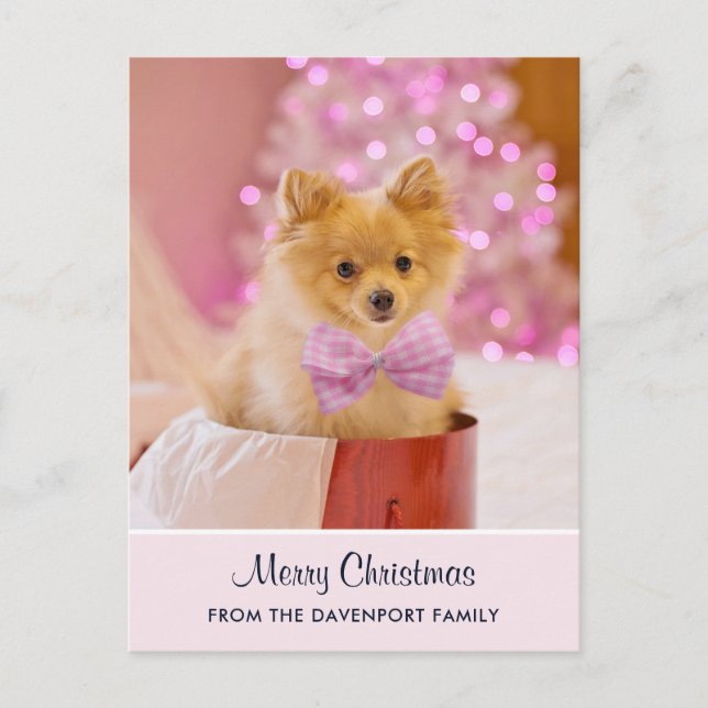 Cute Christmas Dog Photo with Pink Bow & Tree Postcard (Front)