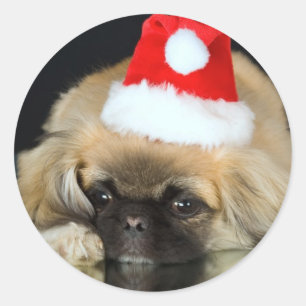 Cute Christmas Dog Stickers