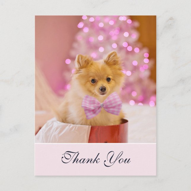 Cute Christmas Dog with Pink Bow Photo Thank You Postcard (Front)