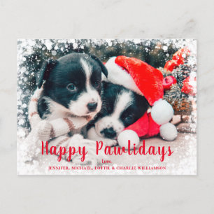 Cute Christmas Dogs Happy Pawlidays Holiday Postcard