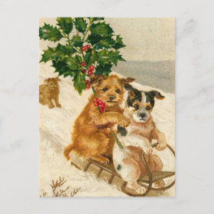 Cute Christmas Dogs Holiday Postcard