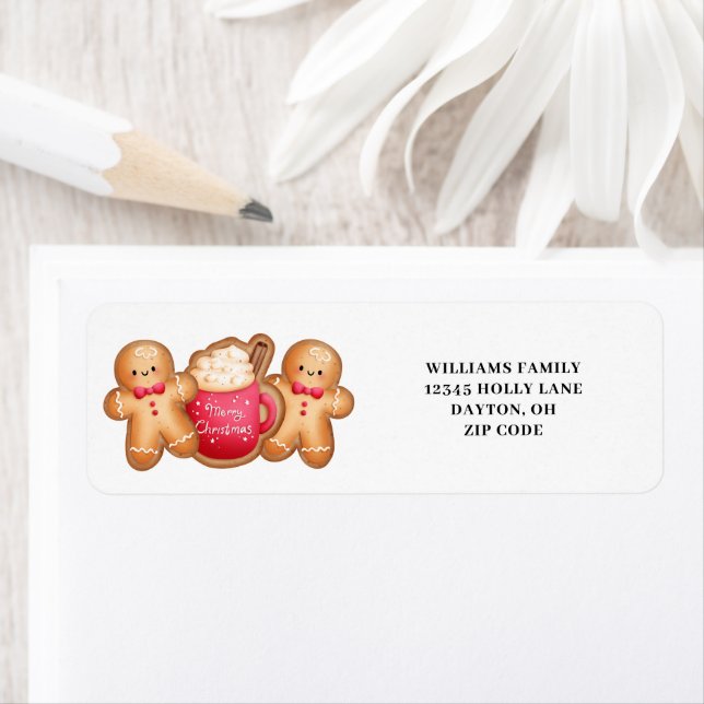 Cute Christmas Gingerbread Cocoa  (Insitu)