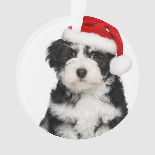 Cute Christmas Havanese Puppy Dog 2 Ornament (Front)
