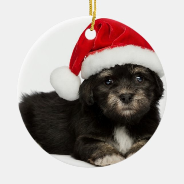 Cute Christmas Havanese Puppy Dog Metal Tree Decoration (Front)