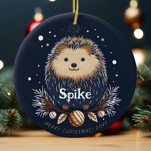 Cute Christmas Hedgehog Pet Name Ceramic Tree Decoration