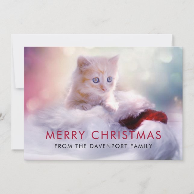 Cute Christmas Kitten Festive Holiday Thank You Card (Front)