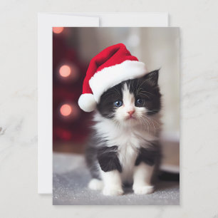 Cute Christmas Kitten Holiday Card