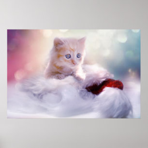 Cute Christmas Kitten Photograph Poster