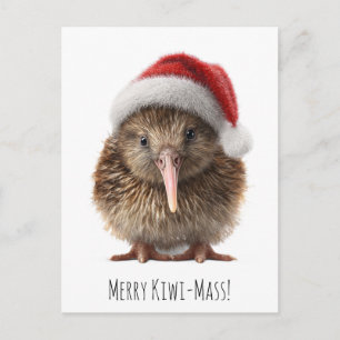 Cute Christmas Kiwi, custom Postcard