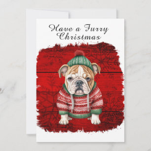 Cute Christmas Outfit Bull Dog Red Snowflake