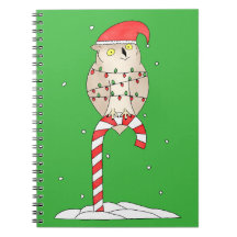 Cute Christmas Owl