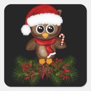 Cute Christmas Owl On Pine Branch Stickers