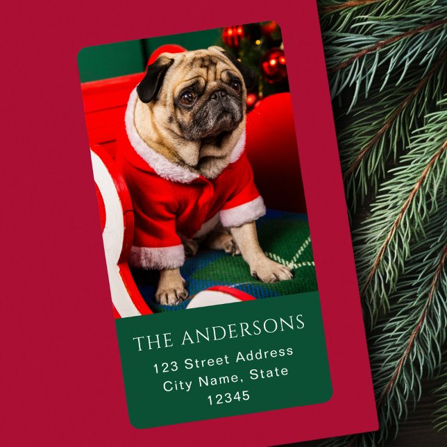 Cute Christmas Peppy Dog Pet Photo Lover Red Green (Creator Uploaded)