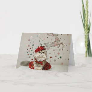 Cute Christmas Persian Cat  Card