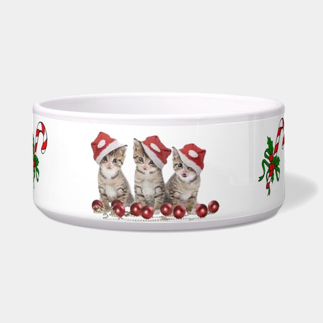Cute Christmas Pet Bowl, Pet Cat Food (Front)