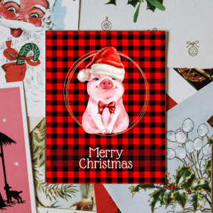 Cute Christmas Pig With Buffalo Plaid Red Funny Holiday Postcard