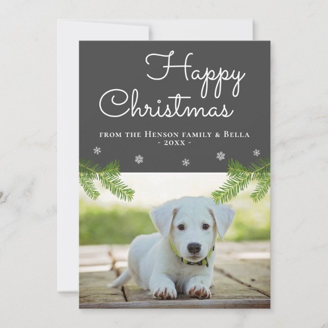 Cute Christmas Pine Branches Snowflake Dog Photo Card (Front)