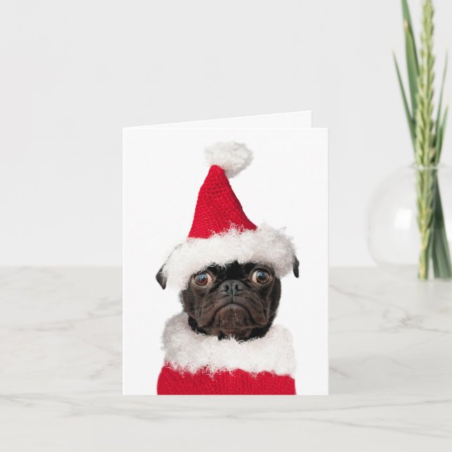 Cute Christmas Pug Puppy Santa Merry Pugmas Card (Front)
