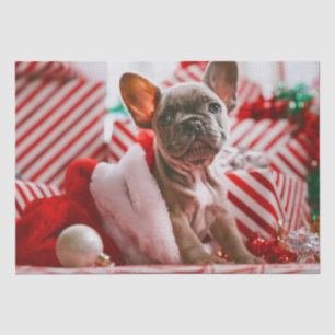 Cute Christmas Puppy Presents Tissue Paper