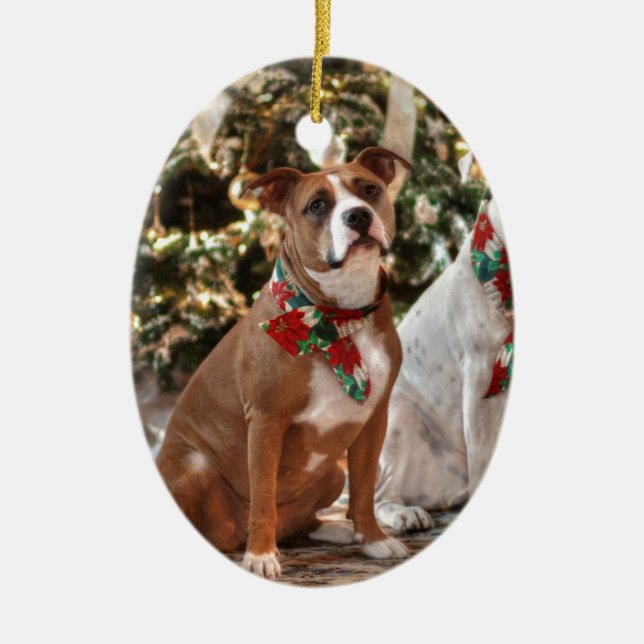 Cute Christmas Rescue Pitbull and America Bull Dog Ceramic Tree Decoration (Front)