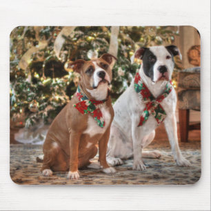 Cute Christmas Rescue Pitbull and America Bull Dog Mouse Mat
