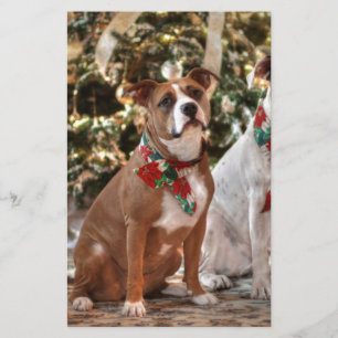 Cute Christmas Rescue Pitbull and America Bull Dog Stationery
