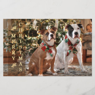 Cute Christmas Rescue Pitbull and America Bull Dog Stationery