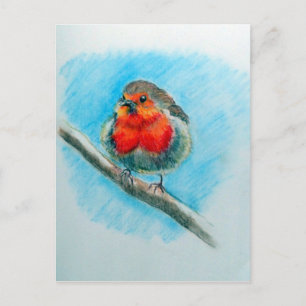 Cute Christmas Robin Postcard