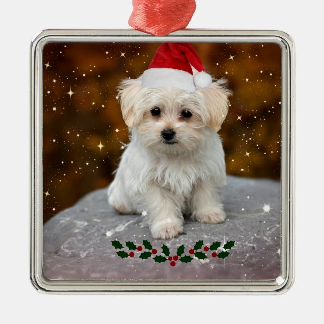 Cute Christmas Santa Claus Maltese Puppy Metal Tree Decoration (Front)