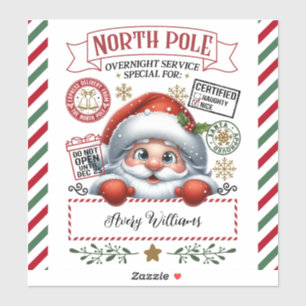 Cute Christmas Special Delivery From Santa