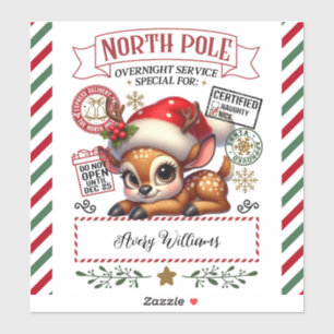 Cute Christmas Special Delivery From Santa