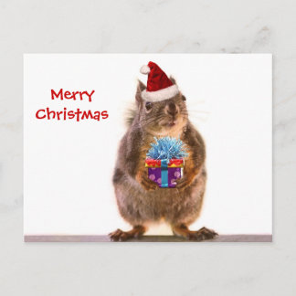 Cute Christmas Squirrel and Gift Holiday Postcard