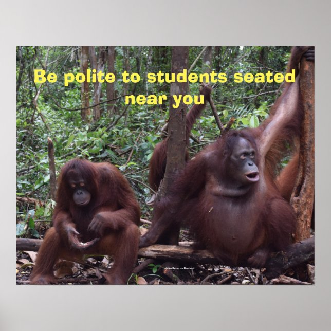 Cute Classroom Rule Courtesy Poster (Front)