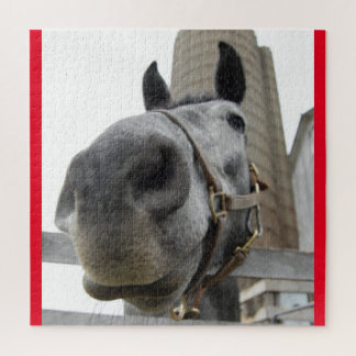 Cute Close up of a Horse Jigsaw Puzzle