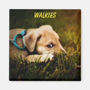 Cute Close-up Puppy Dog Magnet