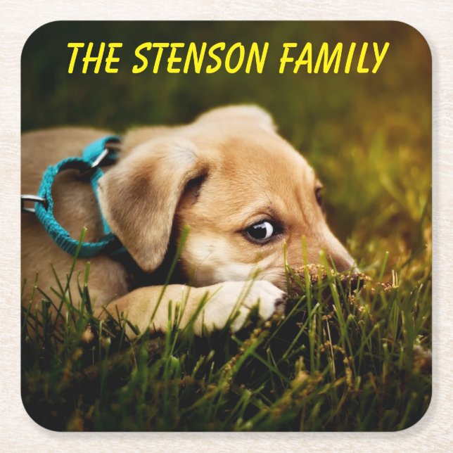 Cute Close-up Puppy Dog Square Paper Coaster (Front)