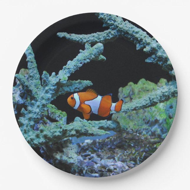 Cute Clown Fish in Coral Paper Plate (Front)