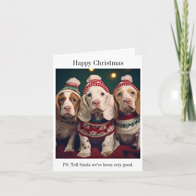 Cute Clumber Spaniels Christmas Card (Front)