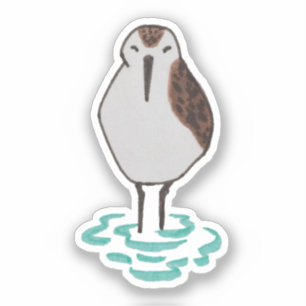 Cute Coastal Ocean Bird Sandpiper