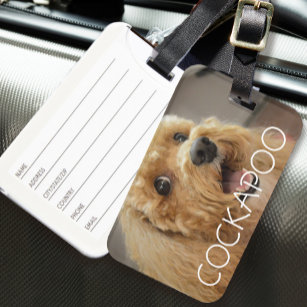 Cockapoo accessories clearance