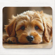 Cute Cockapoo Puppy – Adorable Dog Mouse Pad