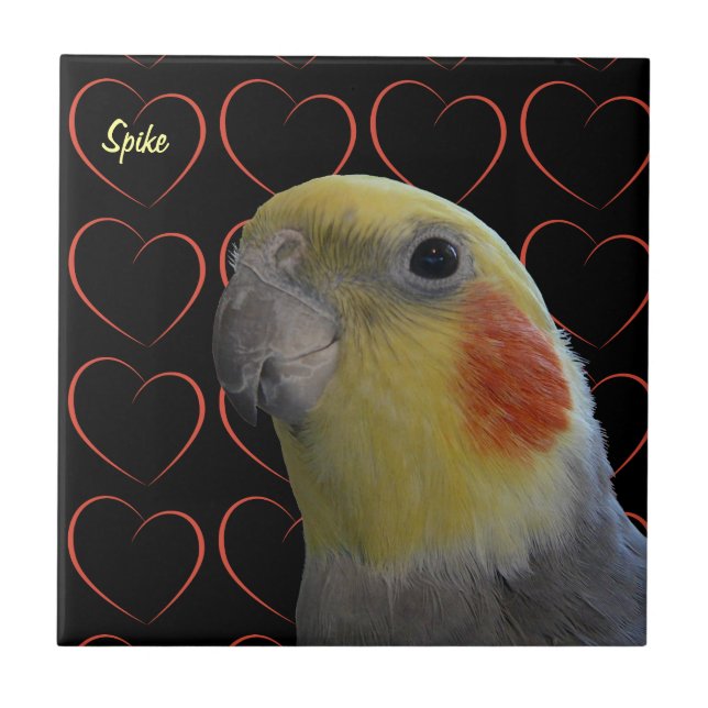 Cute Cockatiel and Hearts Tile (Front)
