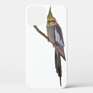 Cute Cockatiel iPhone 12 Case (choose colour)