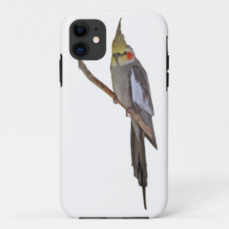 Cute Cockatiel iPhone 5 Case (choose colour)