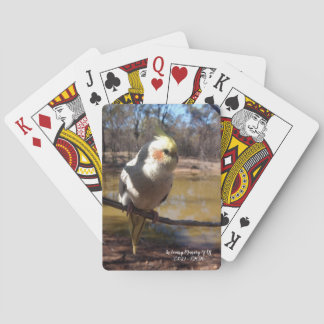 Cute Cockatiel Playing Cards