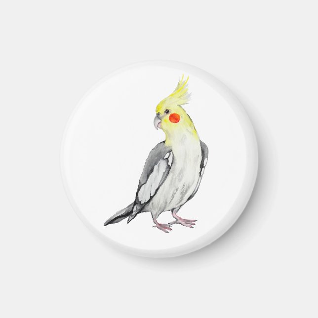 Cute Cockatiel Watercolor Parrot.  Magnet (Front)