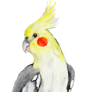 Cute Cockatiel Watercolor Parrot. T-Shirt