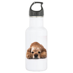 Cute Cocker Spaniel 532 Ml Water Bottle