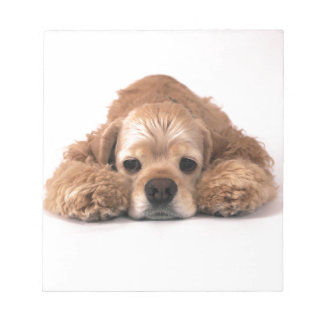 Cute Cocker Spaniel Notepad